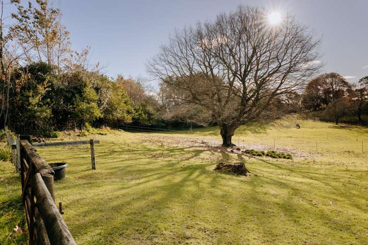 1164 Maniatutu Road Pongakawa_27