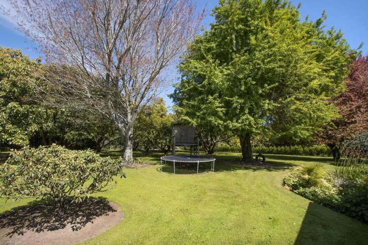 13B Astelia Drive Omokoroa_24