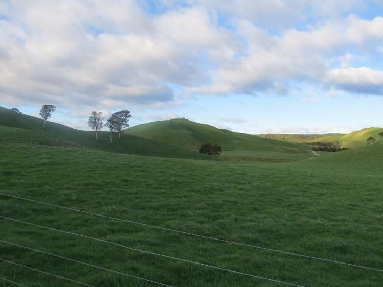 515 Matarawa Road Kinleith_6