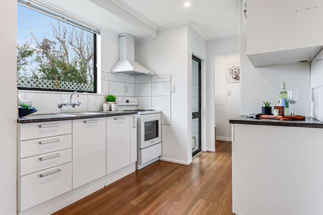 29a Smith Street Frankton_4