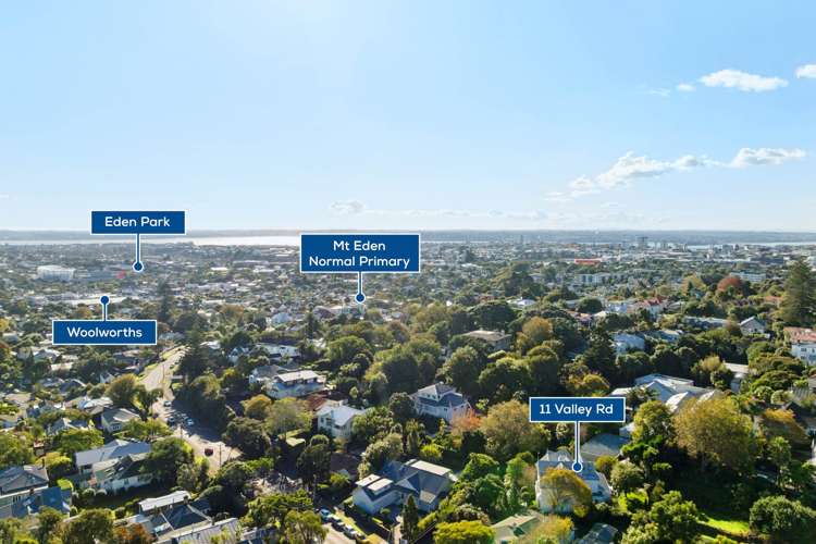 11 Valley Road Mt Eden_33