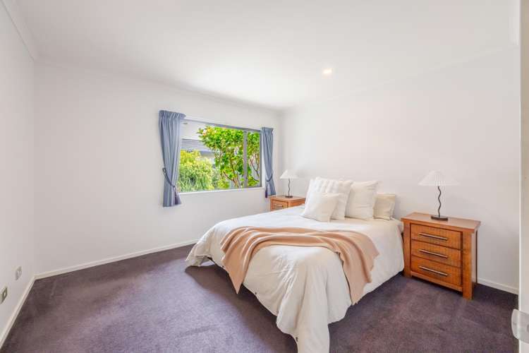 58d Guppy Road Greenmeadows_6