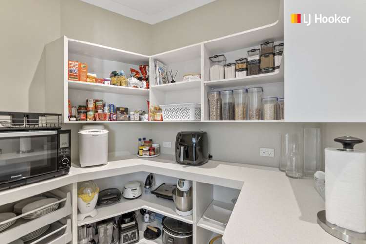 815 Mount Cargill Road Mount Cargill_6