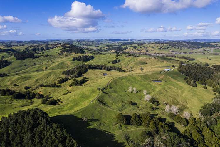 235 Hilford Road Waiotira_23