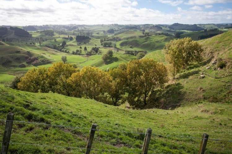 244 Whawharua Road Otorohanga_11