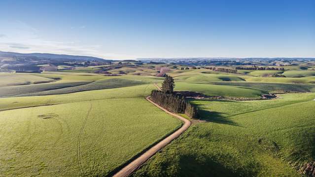 41 Manuka Road, 191 Benny Road, 160 Chapman Road Rongahere_2