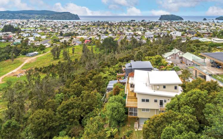 133 Pacific View Drive Whangamata_3