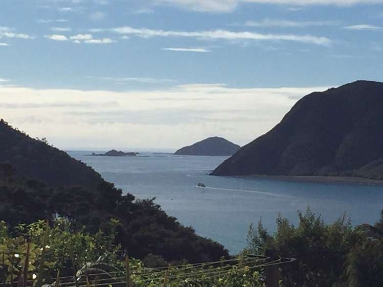 59 Old Mill Road Okiwi Bay_7