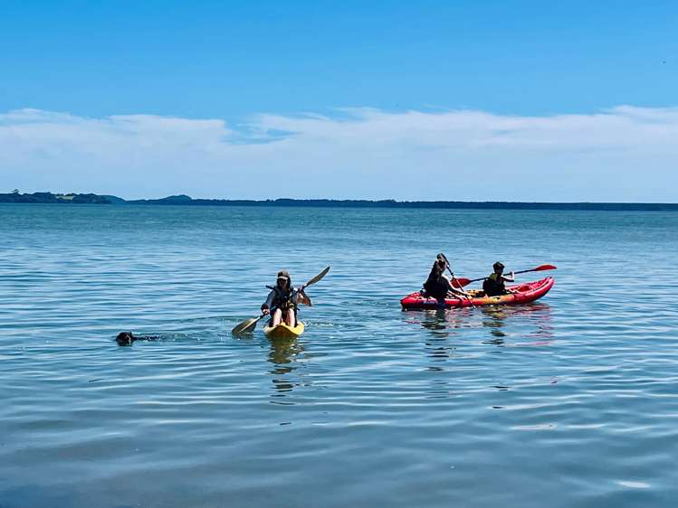 Matahui Road Aongatete_17