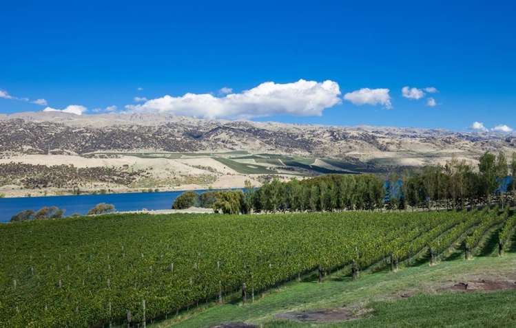 96 Smiths Way Cromwell_31