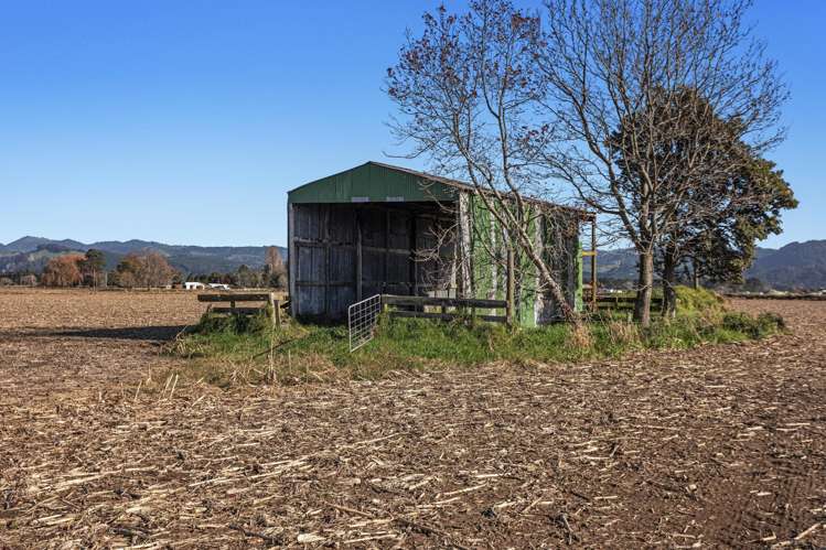 7 and 67 Awaiti Road North Matata_17