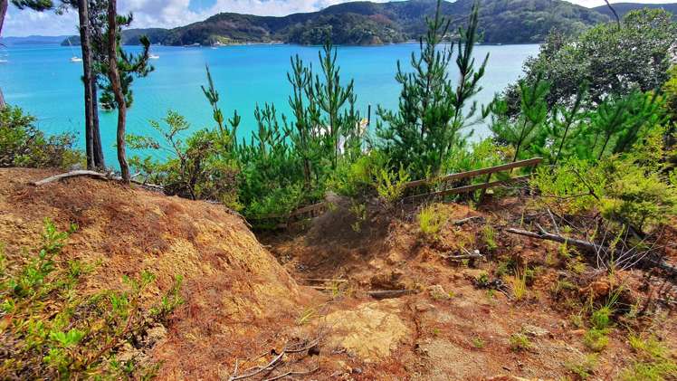 165 Bon Accord Harbour Kawau Island_29