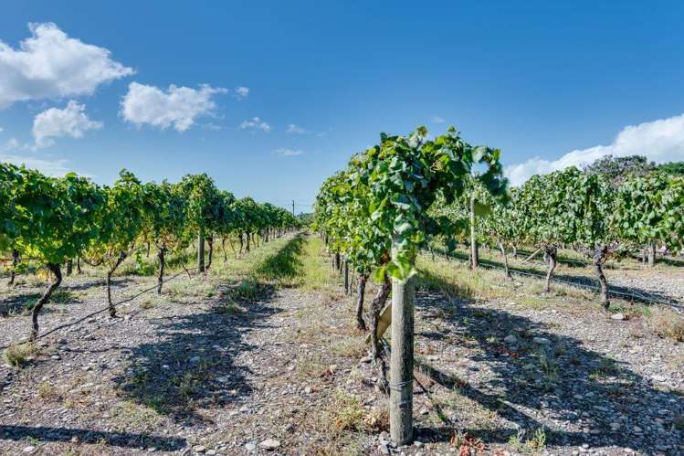 50 Clifton Road Haumoana_5