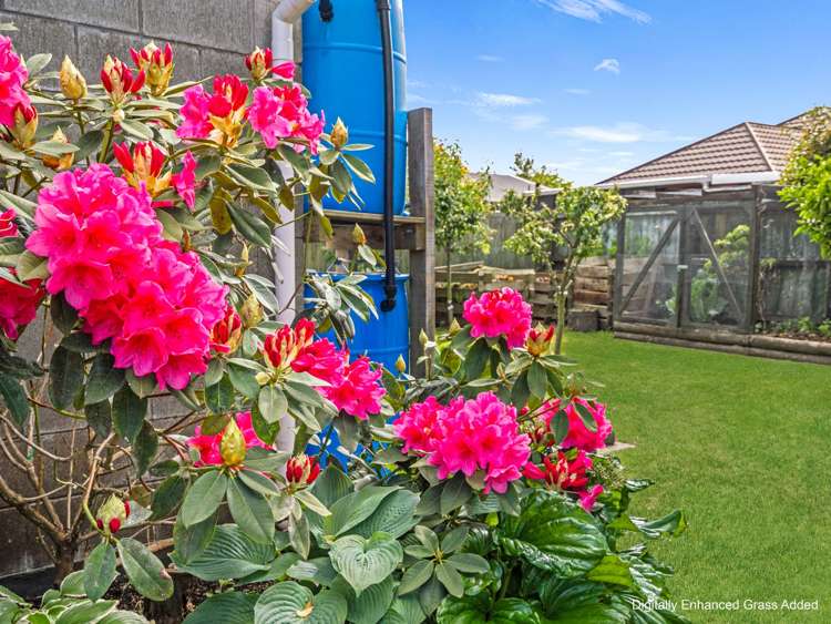 110 East Belt Lincoln_30