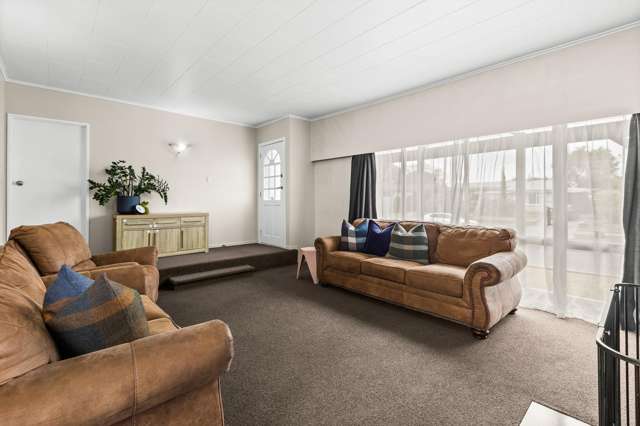 23 Plunket Street Tamatea_4