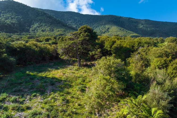 Lot 37 Kaiuma Bay Road Kaiuma Bay_9