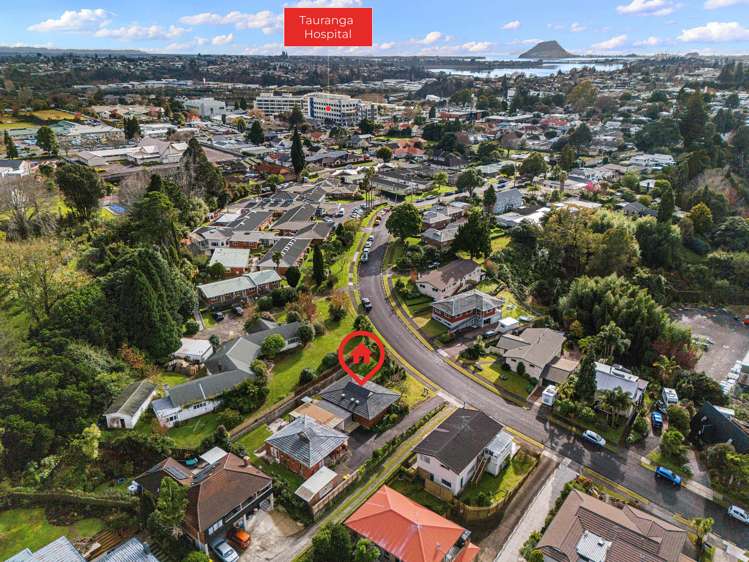 63a Botanical Road Tauranga South_7
