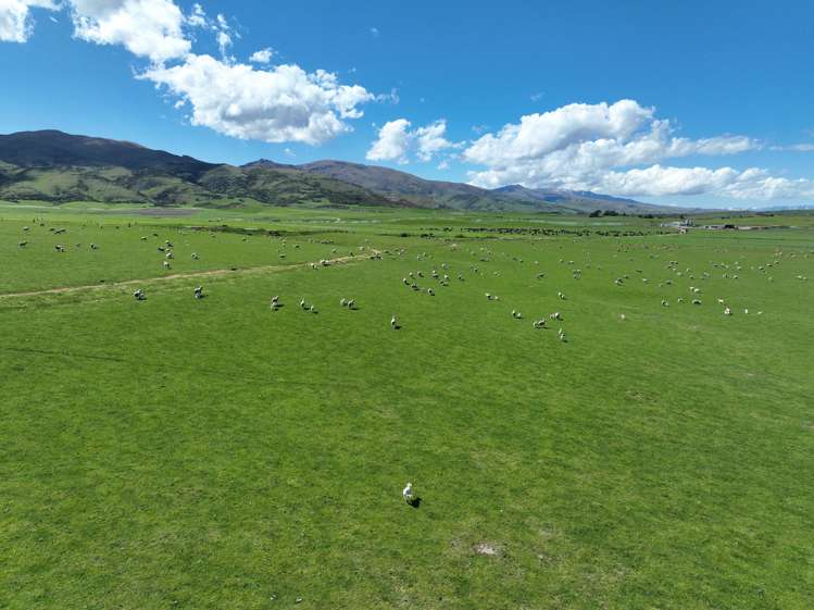 Wallington Road Omakau_21