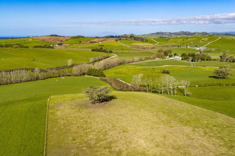 Ocean View Road and Busbridge Road Te Arai_12