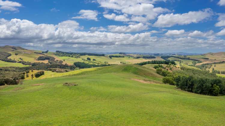 456 Ngawaka Road Central Hawkes Bay Country_13