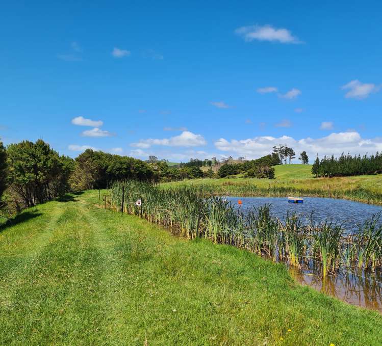 304 Arapaoa Road Tinopai_20