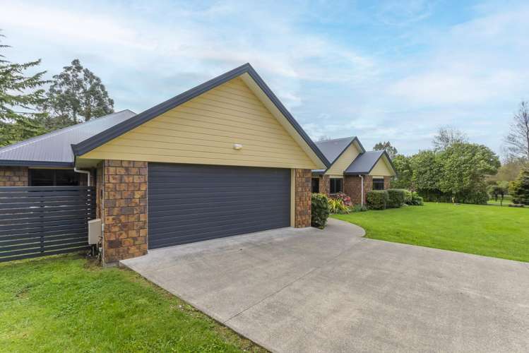 100 Maui Pomare Road Nikau Valley_29