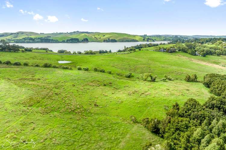 Pahi Road Paparoa_12