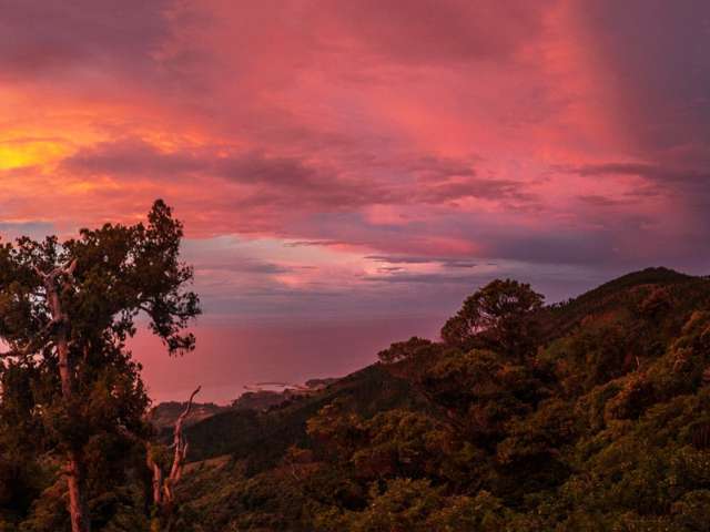 345 Bird Road Kahurangi National Park_1