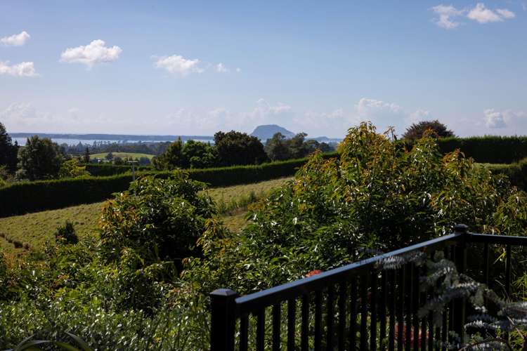 313 Youngson Road Whakamarama_26