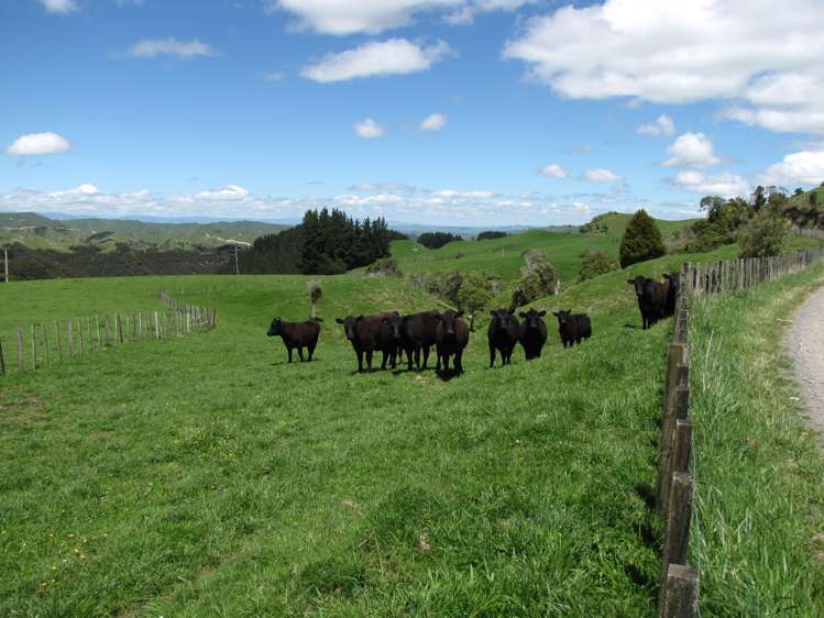 205 Kaweka Road Taihape and Surrounds_13