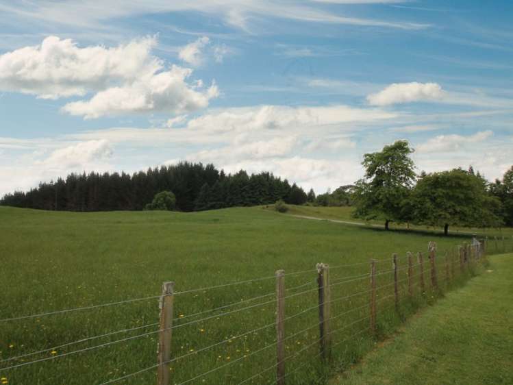 236 Palmer Mill Road Wairakei and Surrounds_7