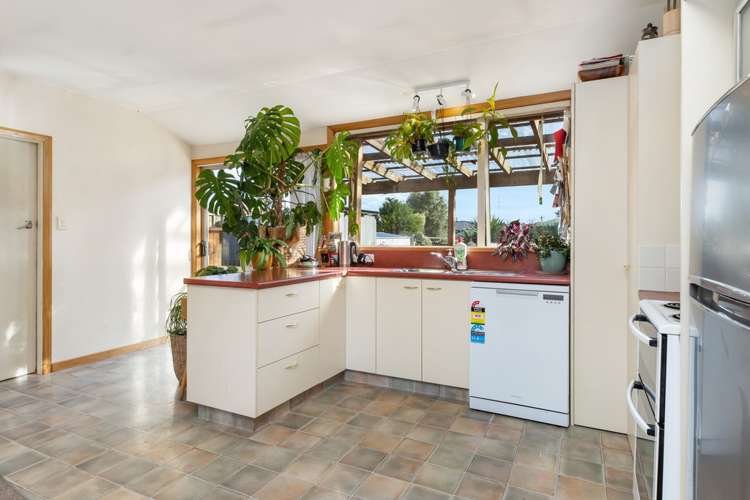 164 Grove Street Tinwald_6