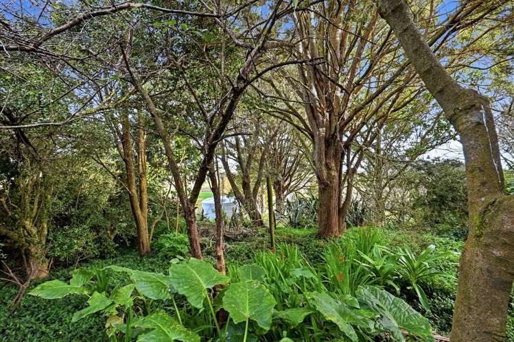 497A Tara Road Mangawhai_11