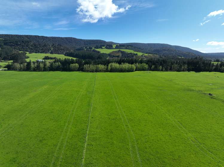 97 Marinui Road Quarry Hills_5