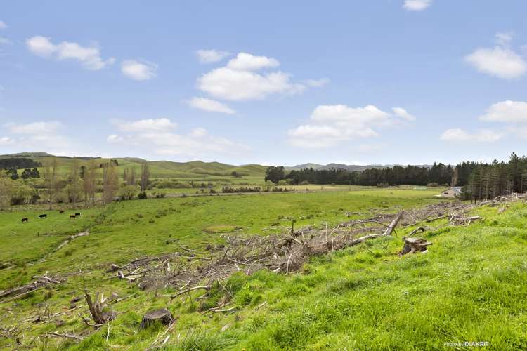 273 Mikimiki Road Mikimiki_7