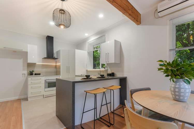 134 Saint Vincent Street Toi Toi_4