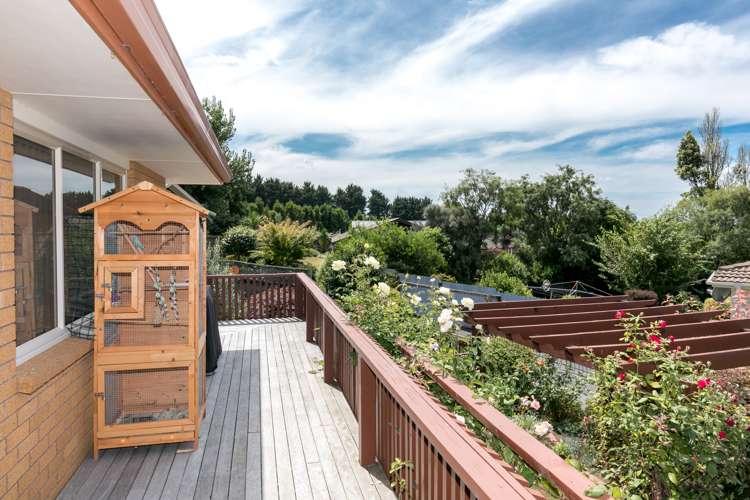 198 Greenhill Drive Te Awamutu_9