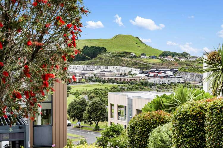 34 Charles Heaphy Lane Stonefields_15