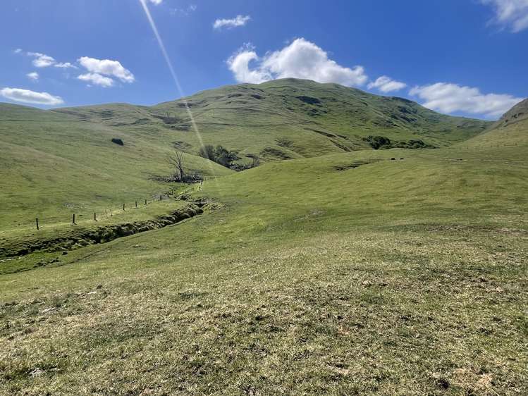 Corner Te Aute Trust Road and Aupaki Road Poukawa_20