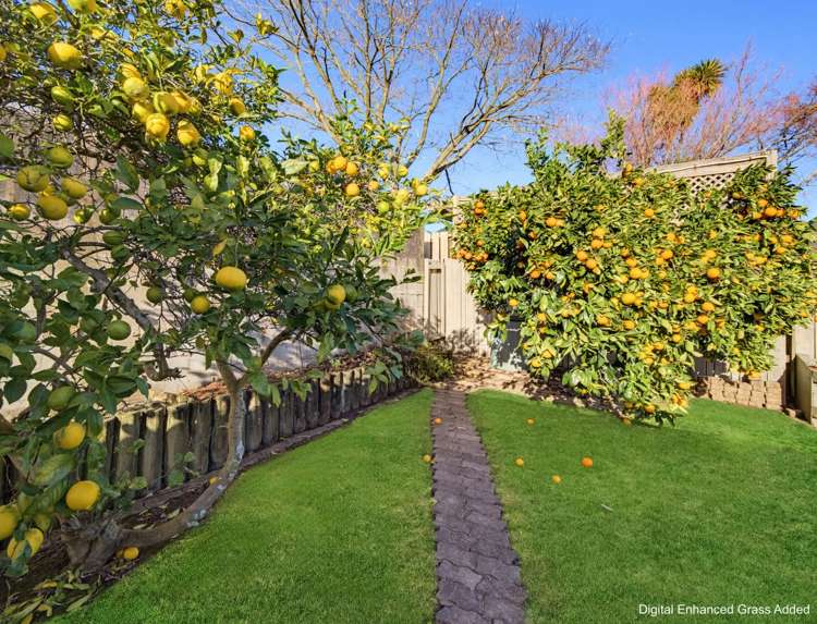 45B George Street Morrinsville_29