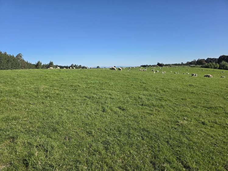 351 Loburn Kowai Road Loburn_39
