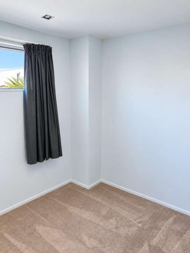 16 Chapman Street Ponsonby_4