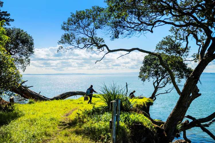 144 Kauri Road Awhitu_23