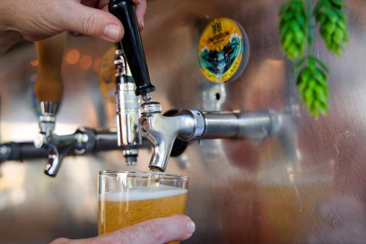 57A Beach Road Kaikoura_10