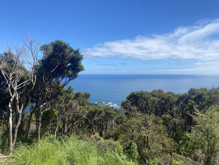 Lot 4/303 Waiaua Road Hihi_10