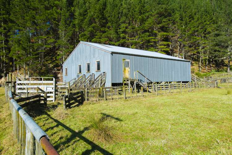 1247 Wharekopae Road Ngatapa_9