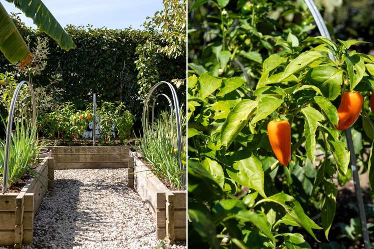 73 Grace Road Avenues_25