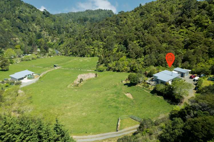 5 Tapu Creek Farms Tapu_35