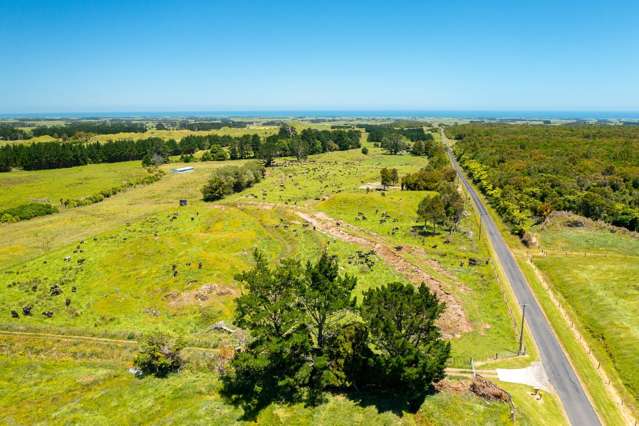 845 Kaweora Road Te Kiri_1