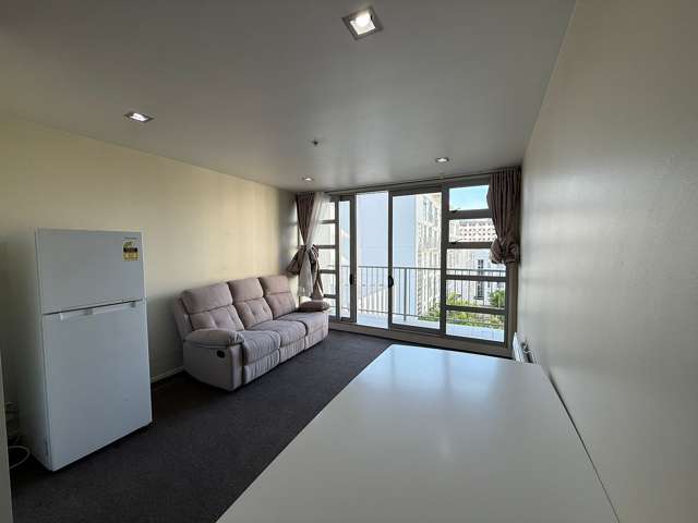 44 Liverpool Street Auckland Central_1